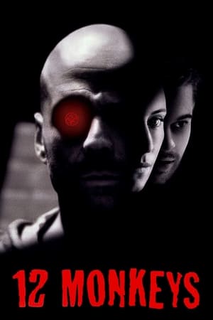 12 Monkeys (1995) Hindi Dual Audio | Hindi Dubbed Movie BluRay 400MB