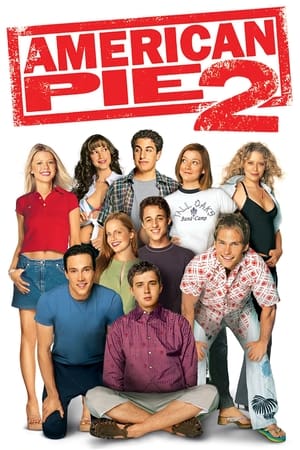 American Pie 2 (2001) Hindi Dual Audio | Hindi Dubbed Movie BluRay [990MB]