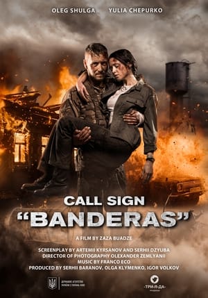 Call Sign Banderas (2018) Hindi Dual Audio HDRip | Hindi Dubbed Movie – 480p