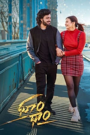 Dhoom Dhaam 2024 Telugu Dubbed CAMRip | Hindi Dubbed Movie