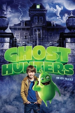 Ghosthunters On Icy Trails 2015 Hindi Dual Audio | Hindi Dubbed Movie BluRay [870MB]