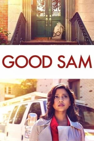 Good Sam 2019 Hindi Dual Audio | Hindi Dubbed Movie Web-DL 300MB