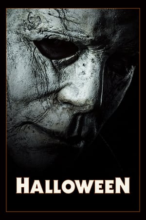 Halloween (2018) Hindi Dual Audio | Hindi Dubbed Movie BluRay 330MB