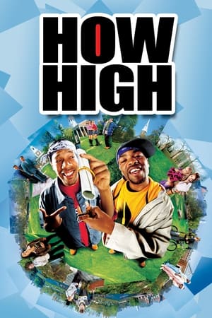 How High (2001) Hindi Dual Audio | Hindi Dubbed Movie WebRip [800MB]