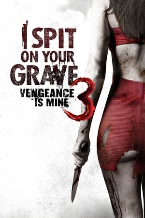 I Spit on Your Grave: Vengeance Is Mine (2015) Hindi Dual Audio HDRip | Hindi Dubbed Movie – 480p