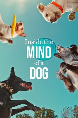 Inside the Mind of a Dog 2024 Hindi Dual Audio HDRip | Hindi Dubbed Movie – 720p – 480p