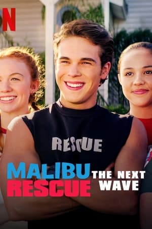 Malibu Rescue: The Next Wave (2020) Hindi Dual Audio | Hindi Dubbed Movie Web-DL 230MB