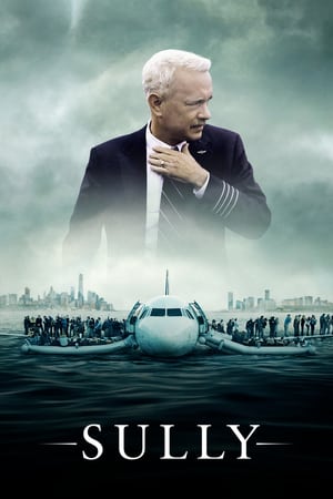 Sully (2016) Hindi (Unofficial Dubbed) Dual Audio BluRay [ | Hindi Dubbed Movie] [720p]