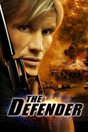 The Defender (2004) Hindi Dual Audio | Hindi Dubbed Movie BluRay 300MB