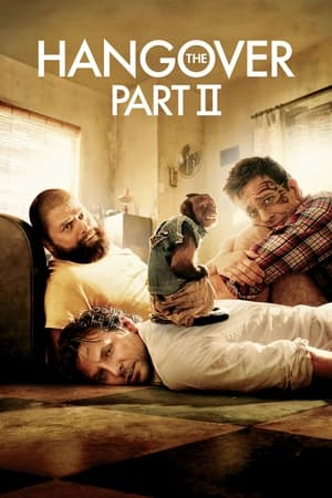 The Hangover Part II (2011) Hindi Dual Audio | Hindi Dubbed Movie BluRay [750MB]