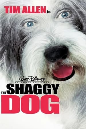 The Shaggy Dog (2006) Hindi Dual Audio | Hindi Dubbed Movie BluRay 300MB