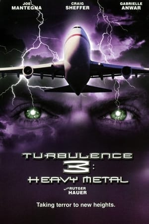 Turbulence 3 Heavy Metal 2001 Hindi Dual Audio | Hindi Dubbed Movie Web-DL 300MB